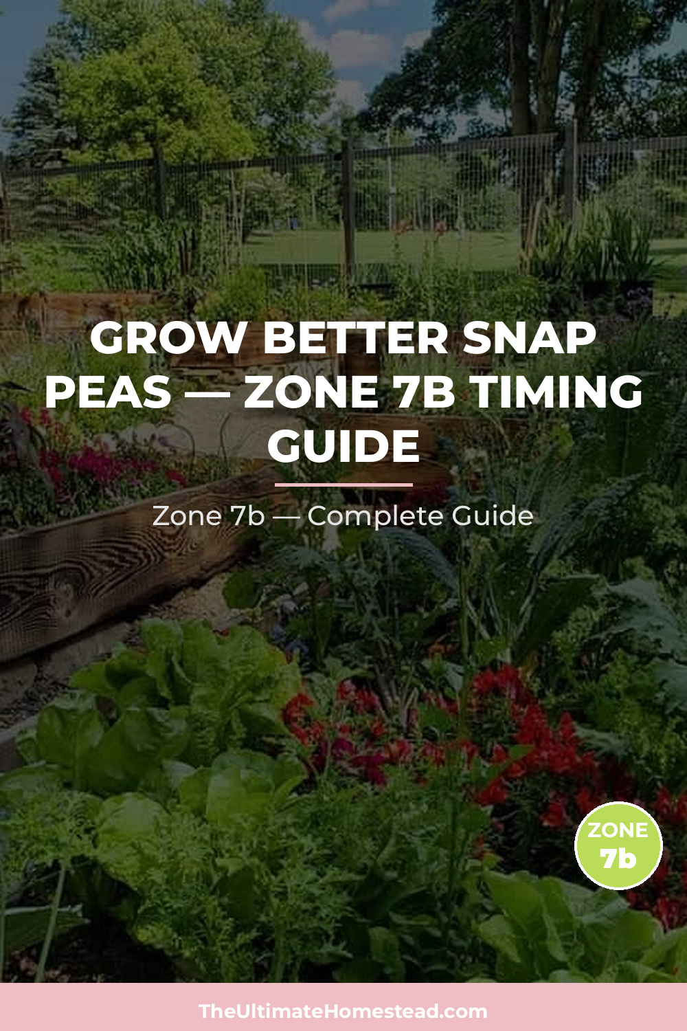 When to Plant Snap Peas in Zone 7b