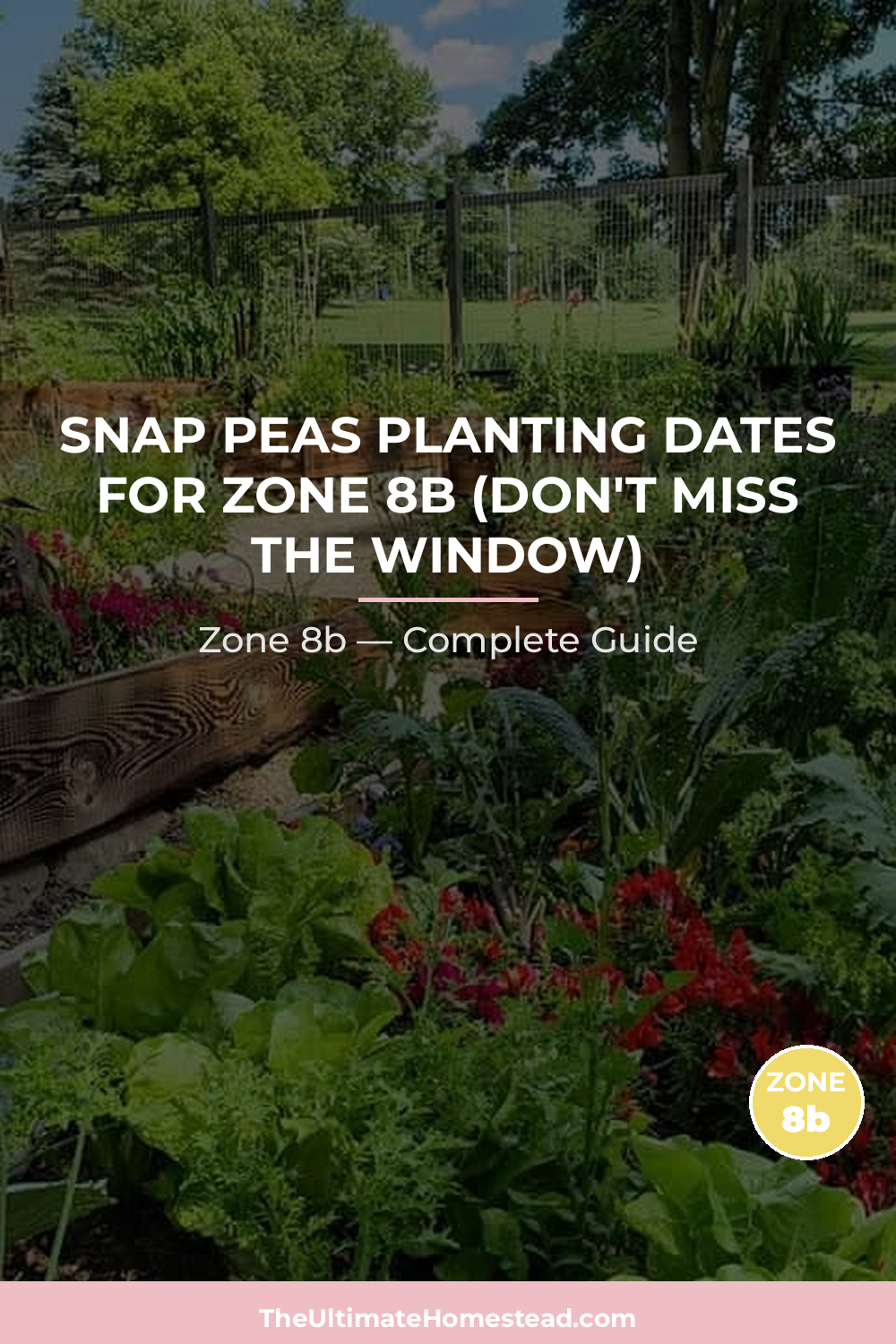 When to Plant Snap Peas in Zone 8b