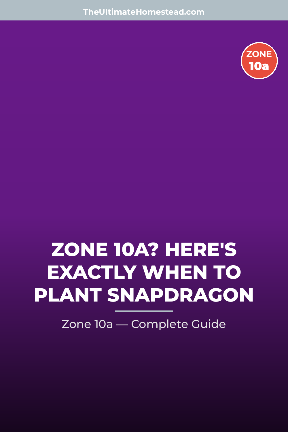 When to Plant Snapdragon in Zone 10a