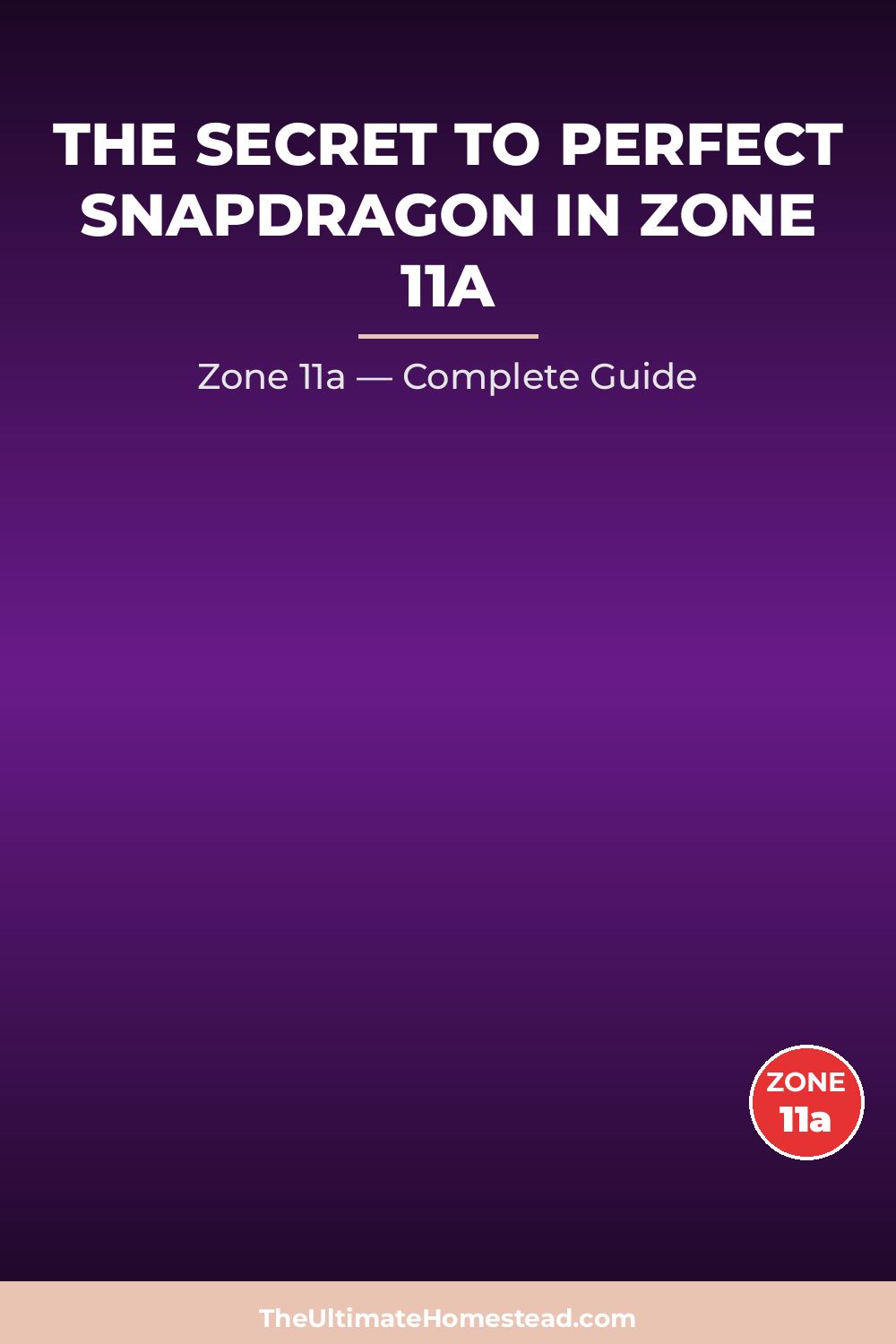 When to Plant Snapdragon in Zone 11a