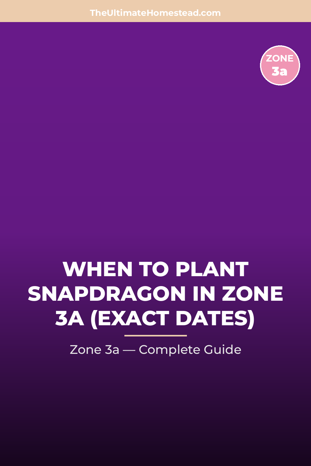 When to Plant Snapdragon in Zone 3a