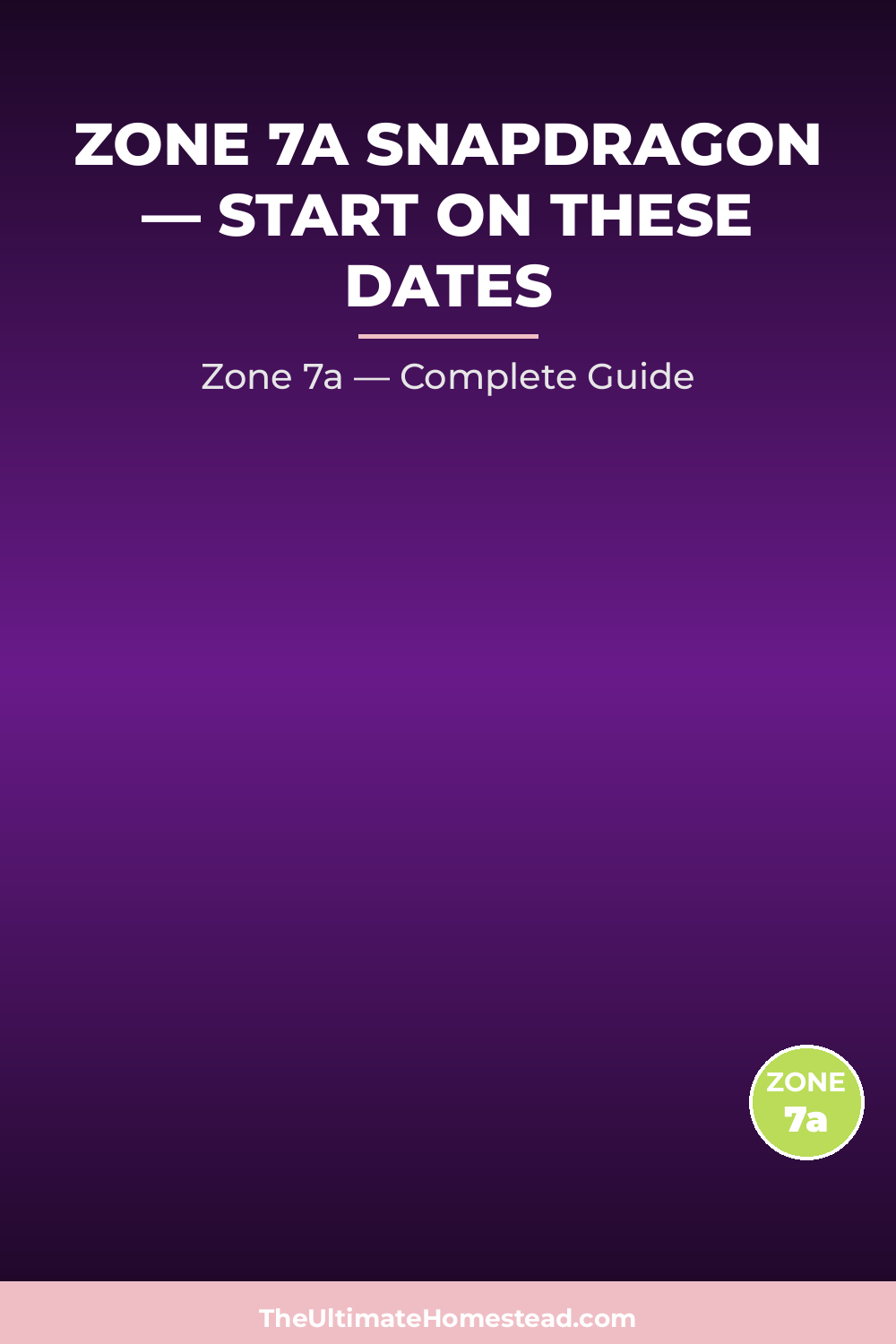 When to Plant Snapdragon in Zone 7a