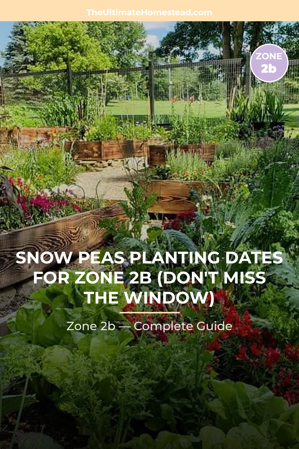 When to Plant Snow Peas in Zone 2b