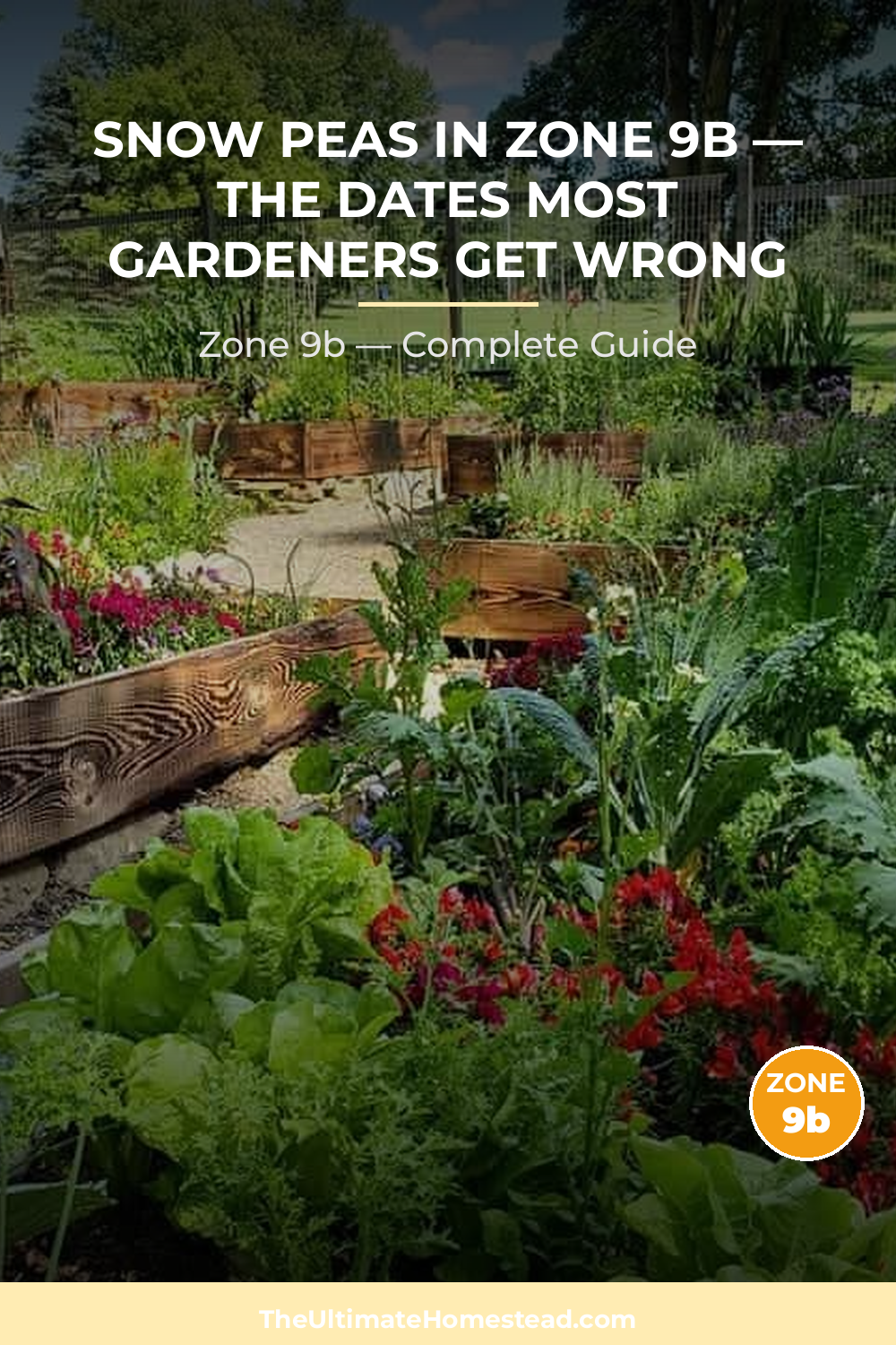 When to Plant Snow Peas in Zone 9b