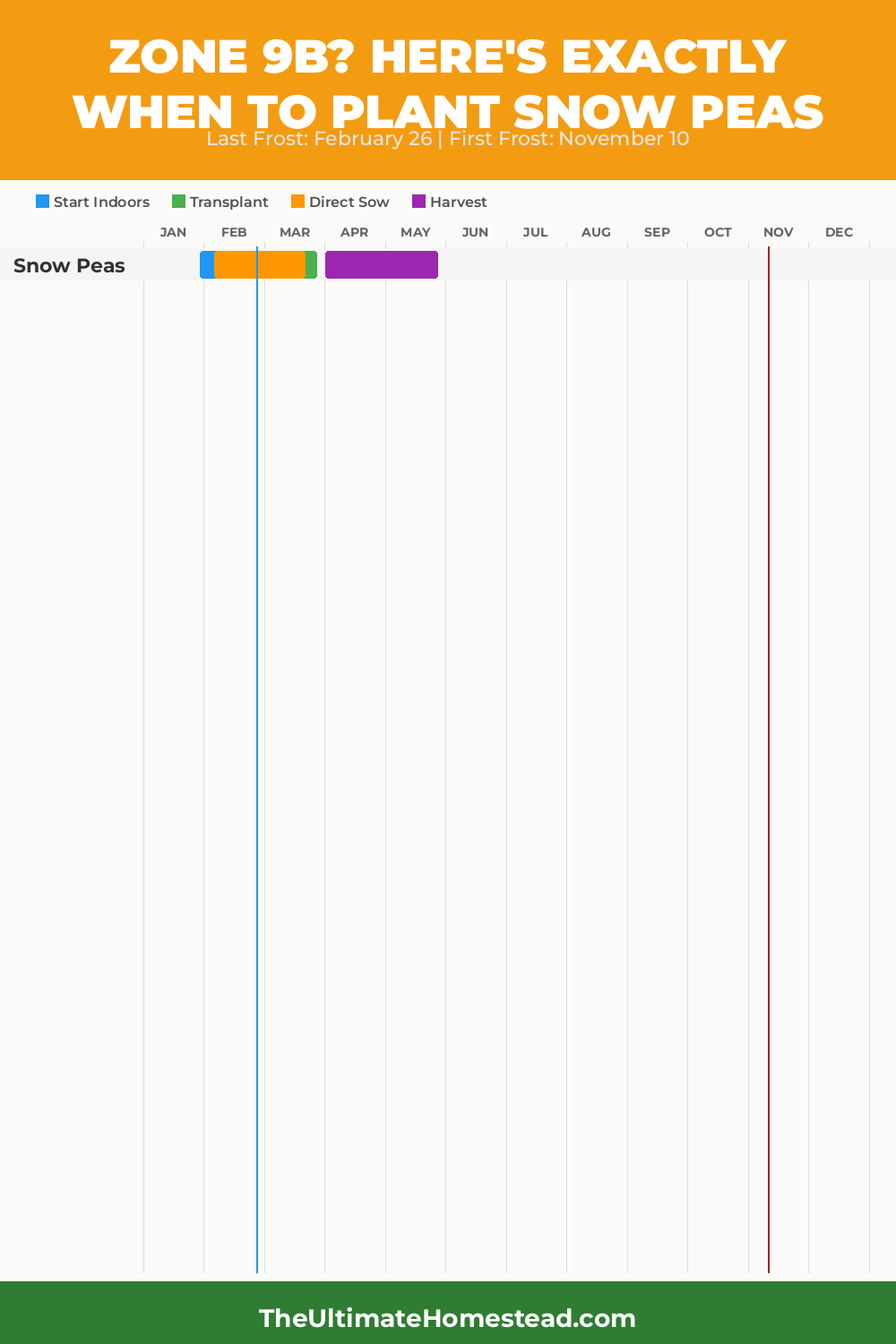 When to Plant Snow Peas in Zone 9b