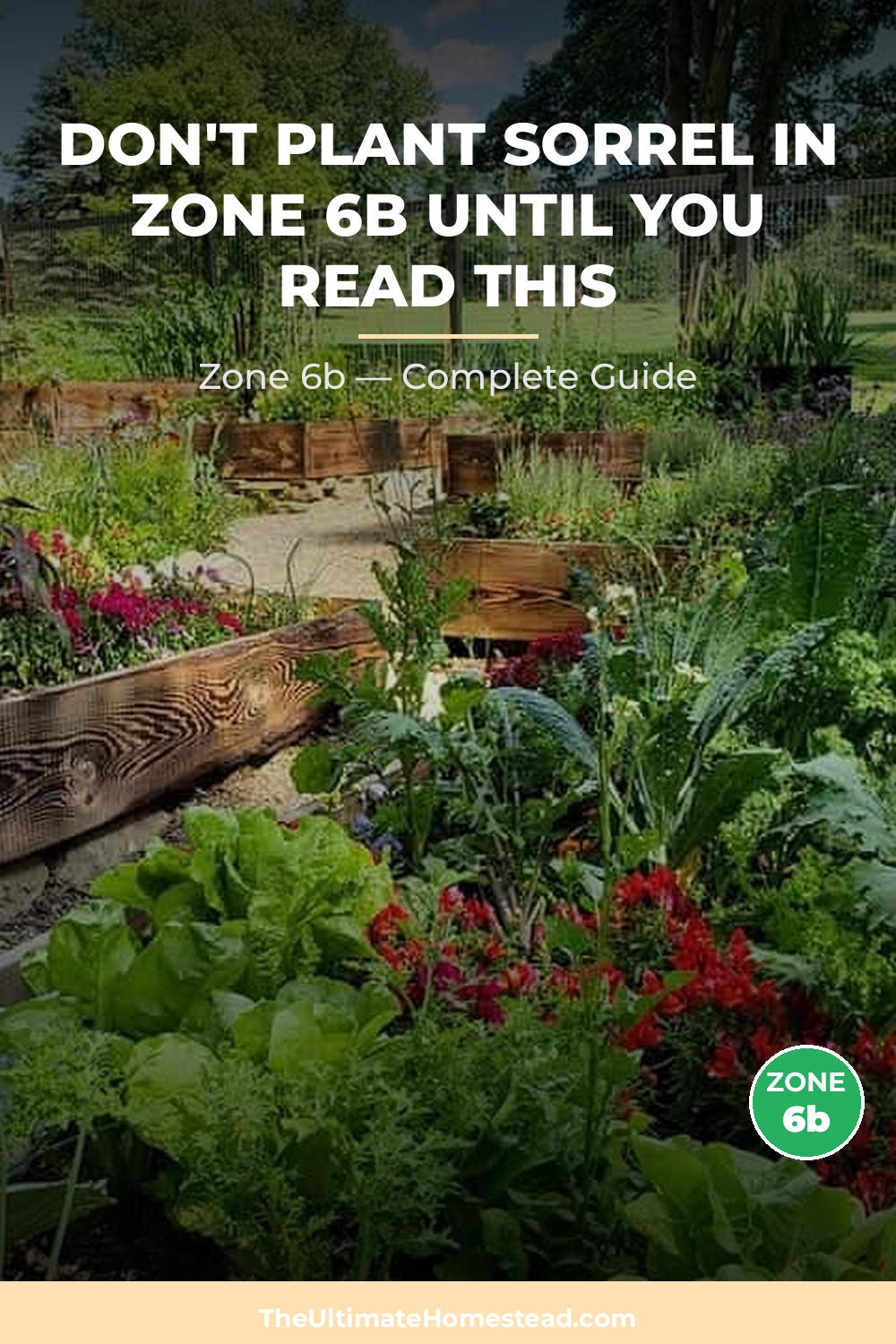 When to Plant Sorrel in Zone 6b