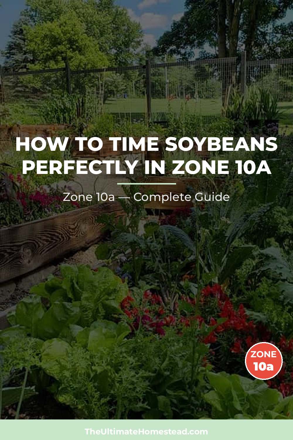 When to Plant Soybeans in Zone 10a