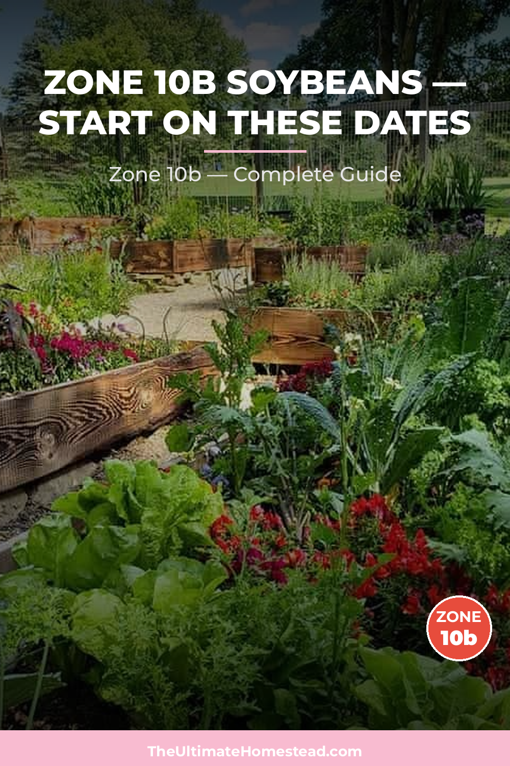 When to Plant Soybeans in Zone 10b