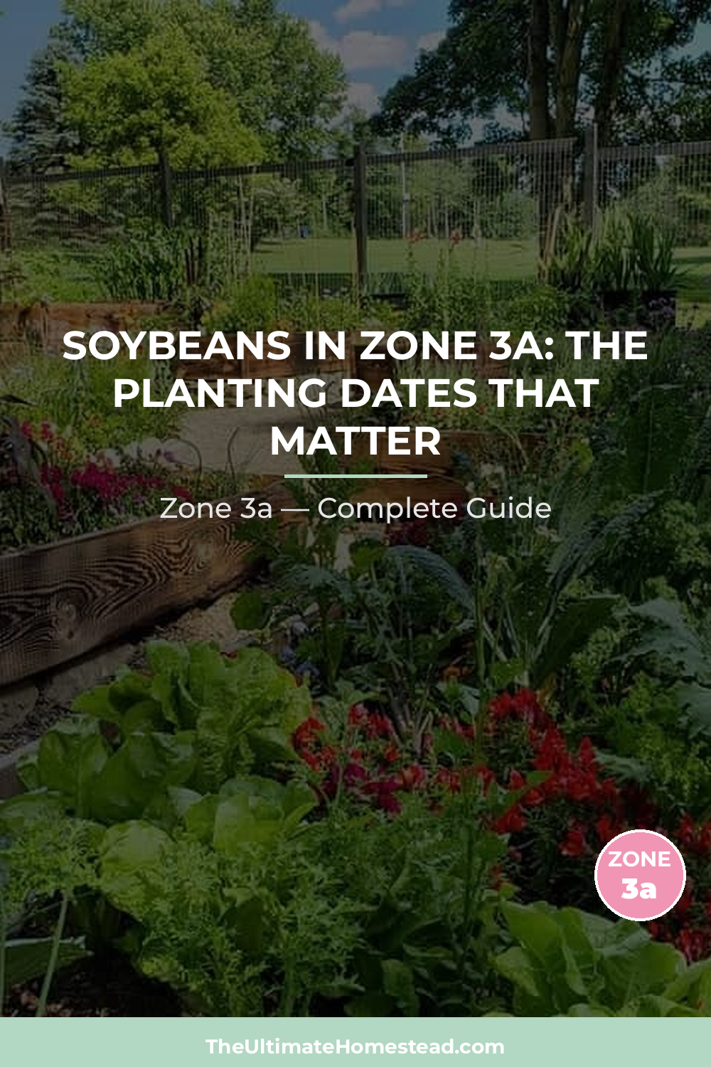 When to Plant Soybeans in Zone 3a