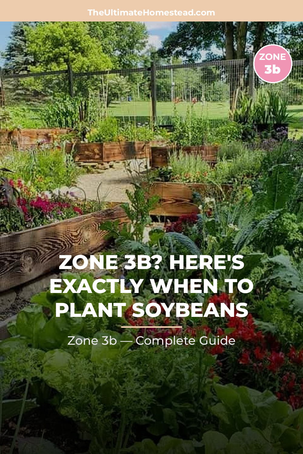When to Plant Soybeans in Zone 3b