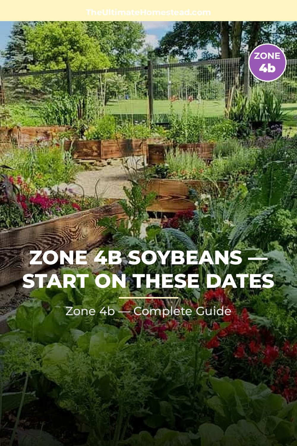 When to Plant Soybeans in Zone 4b