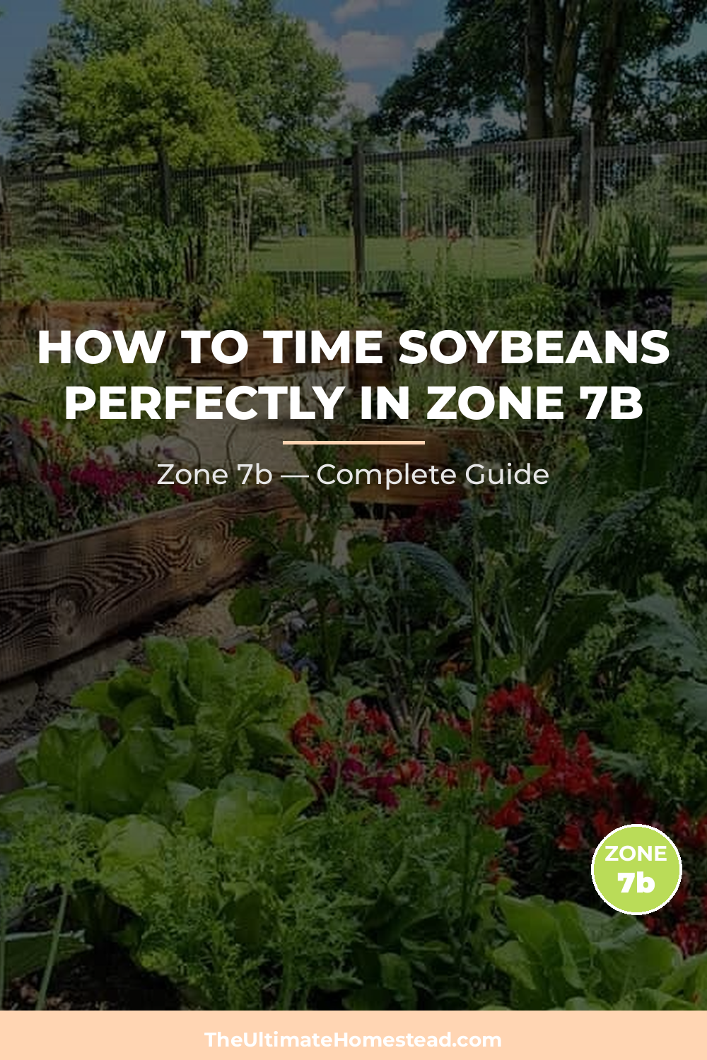 When to Plant Soybeans in Zone 7b