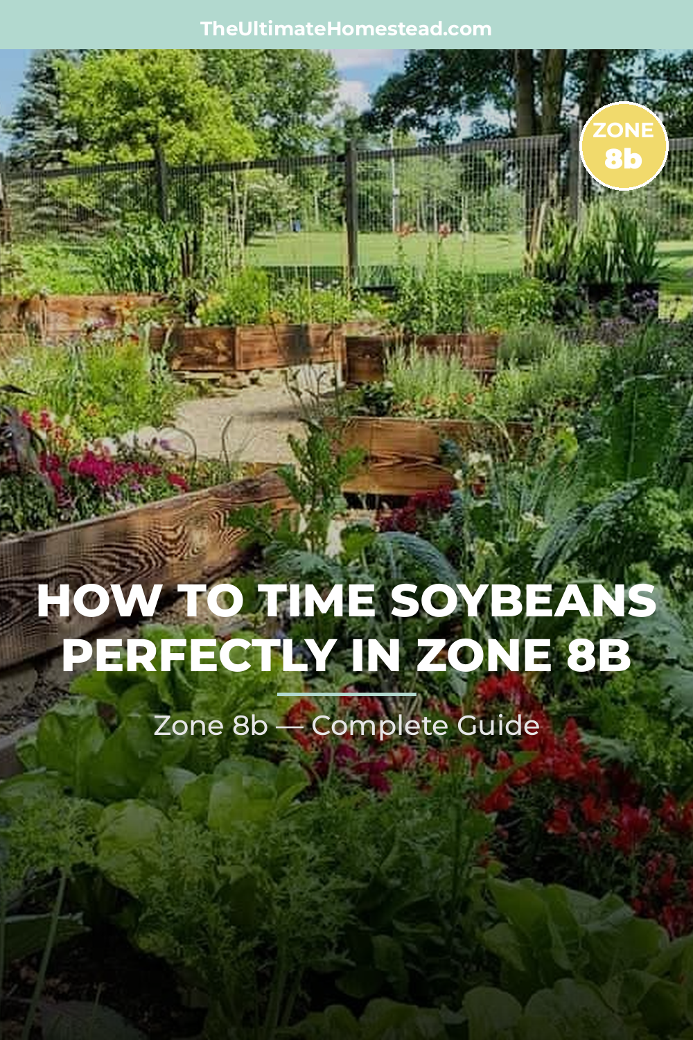When to Plant Soybeans in Zone 8b