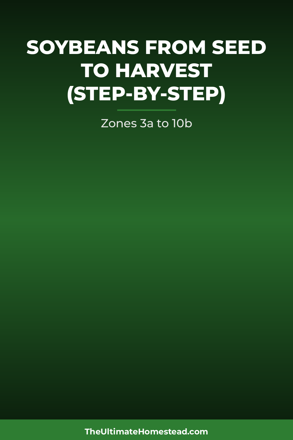 Soybeans Planting Guide