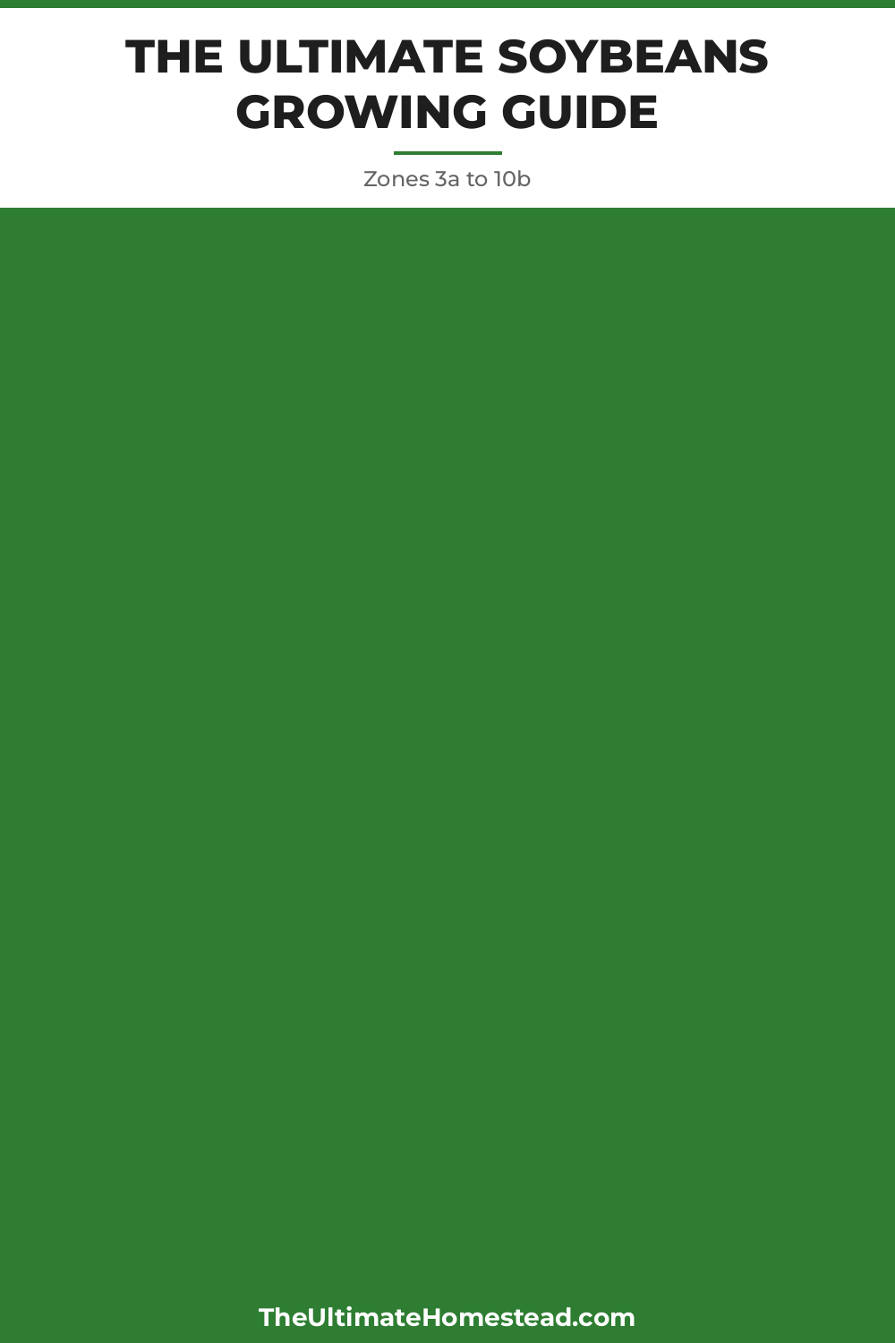 Soybeans Planting Guide