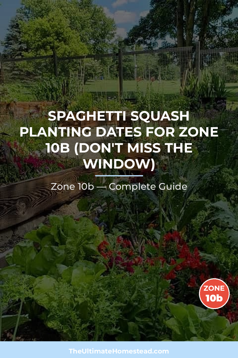 When to Plant Spaghetti Squash in Zone 10b