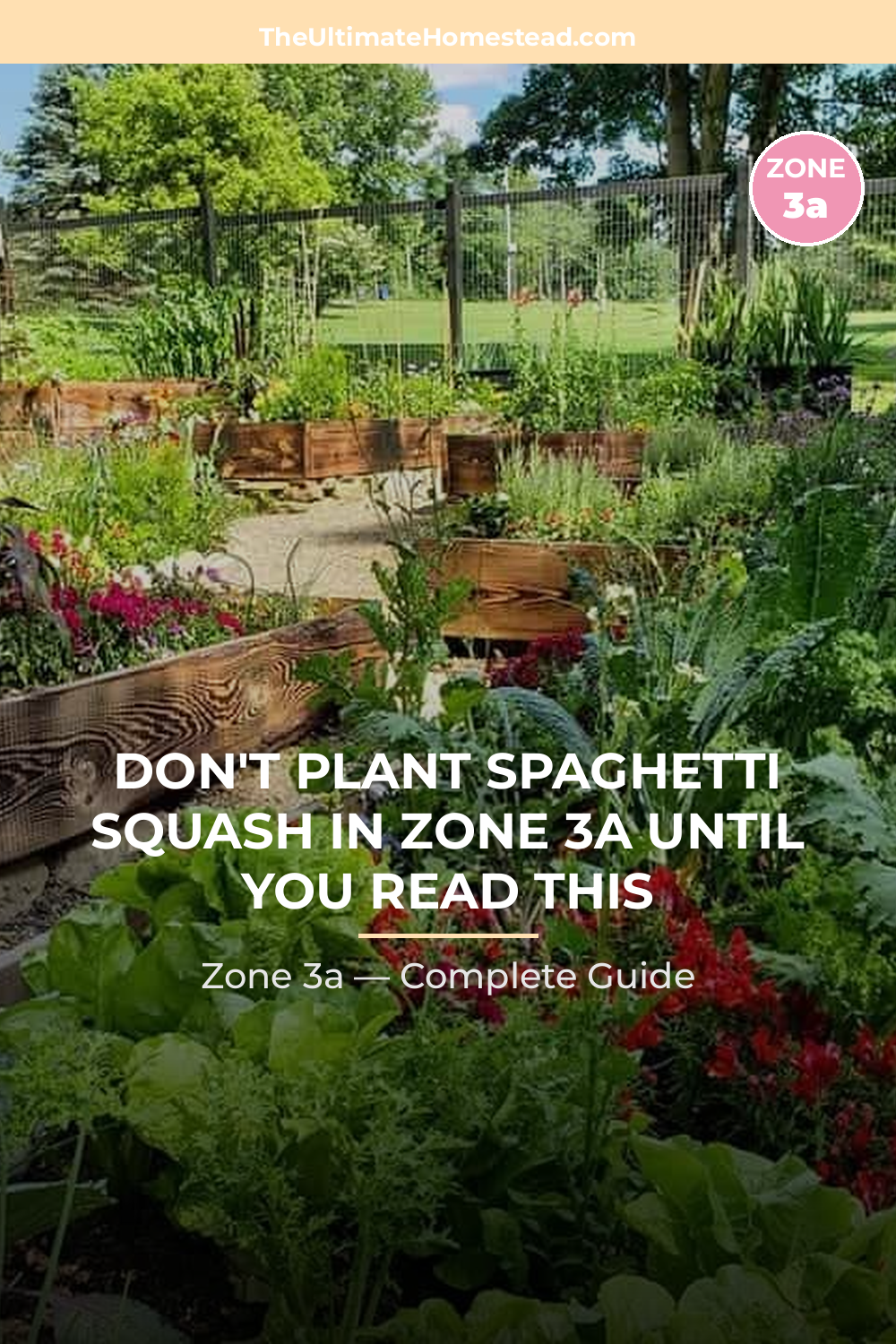 When to Plant Spaghetti Squash in Zone 3a