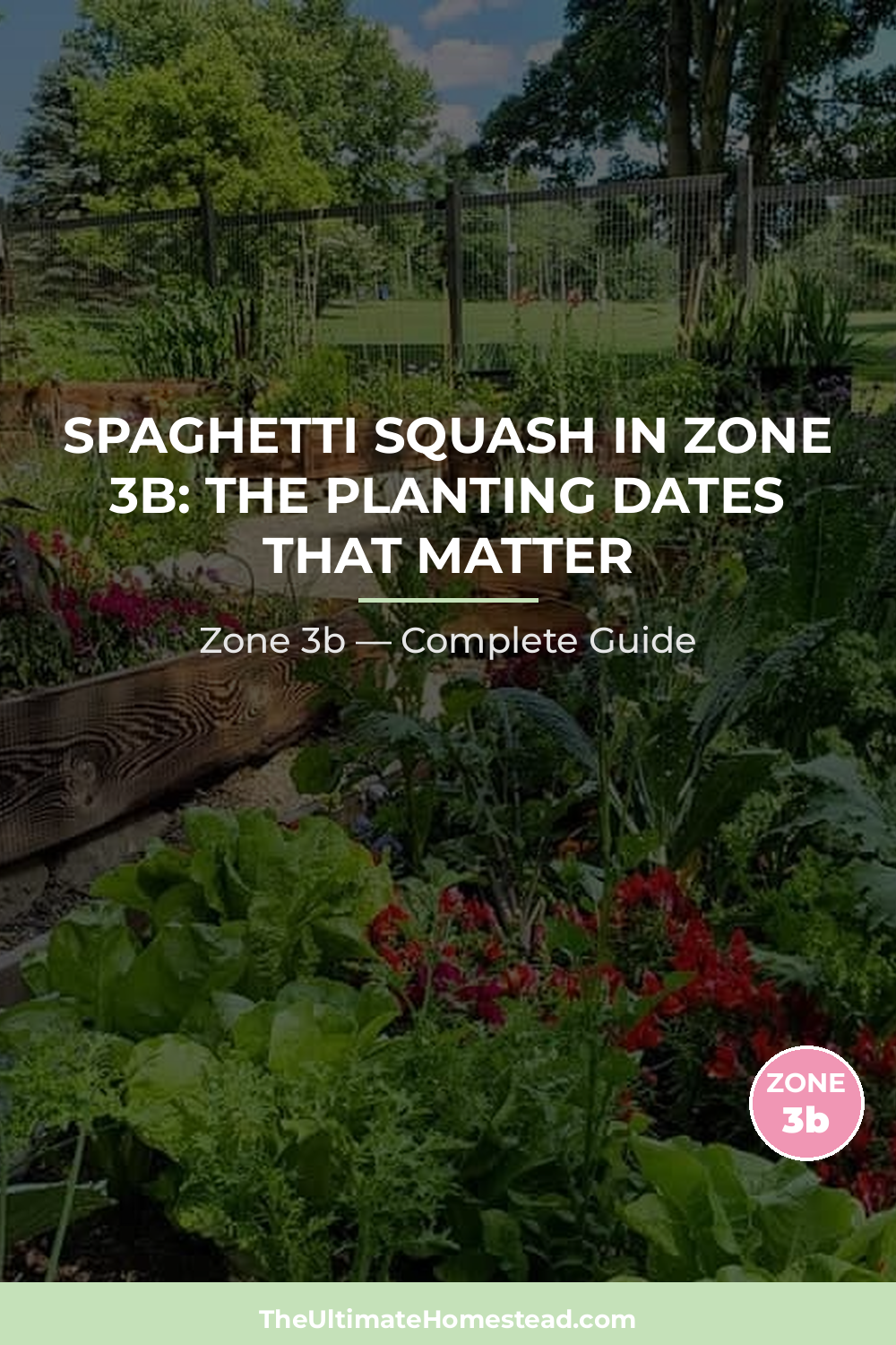 When to Plant Spaghetti Squash in Zone 3b