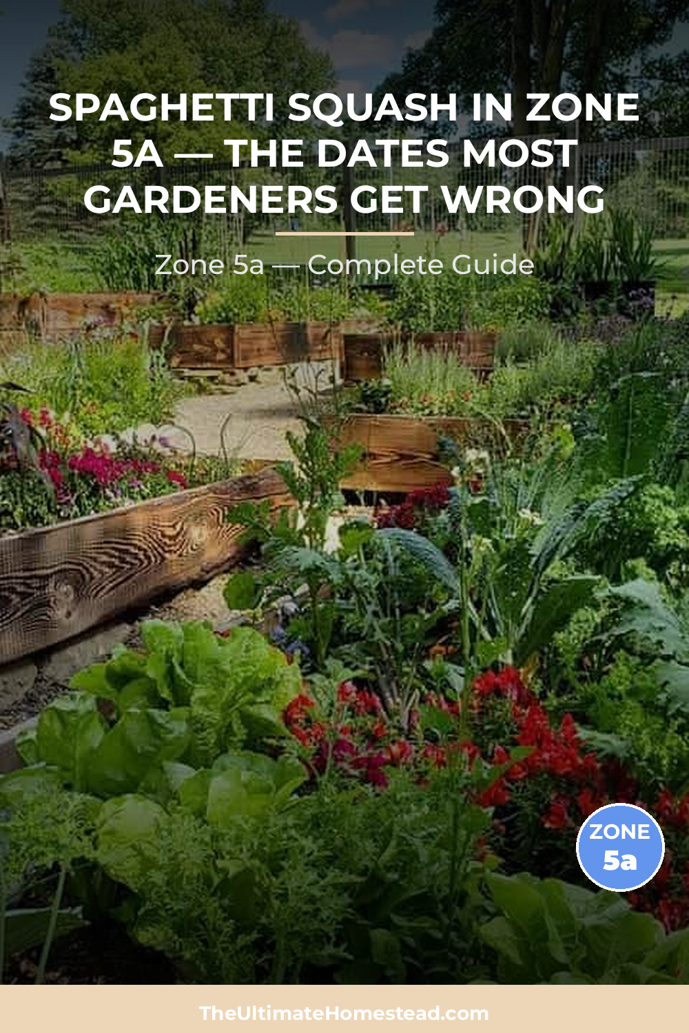 When to Plant Spaghetti Squash in Zone 5a