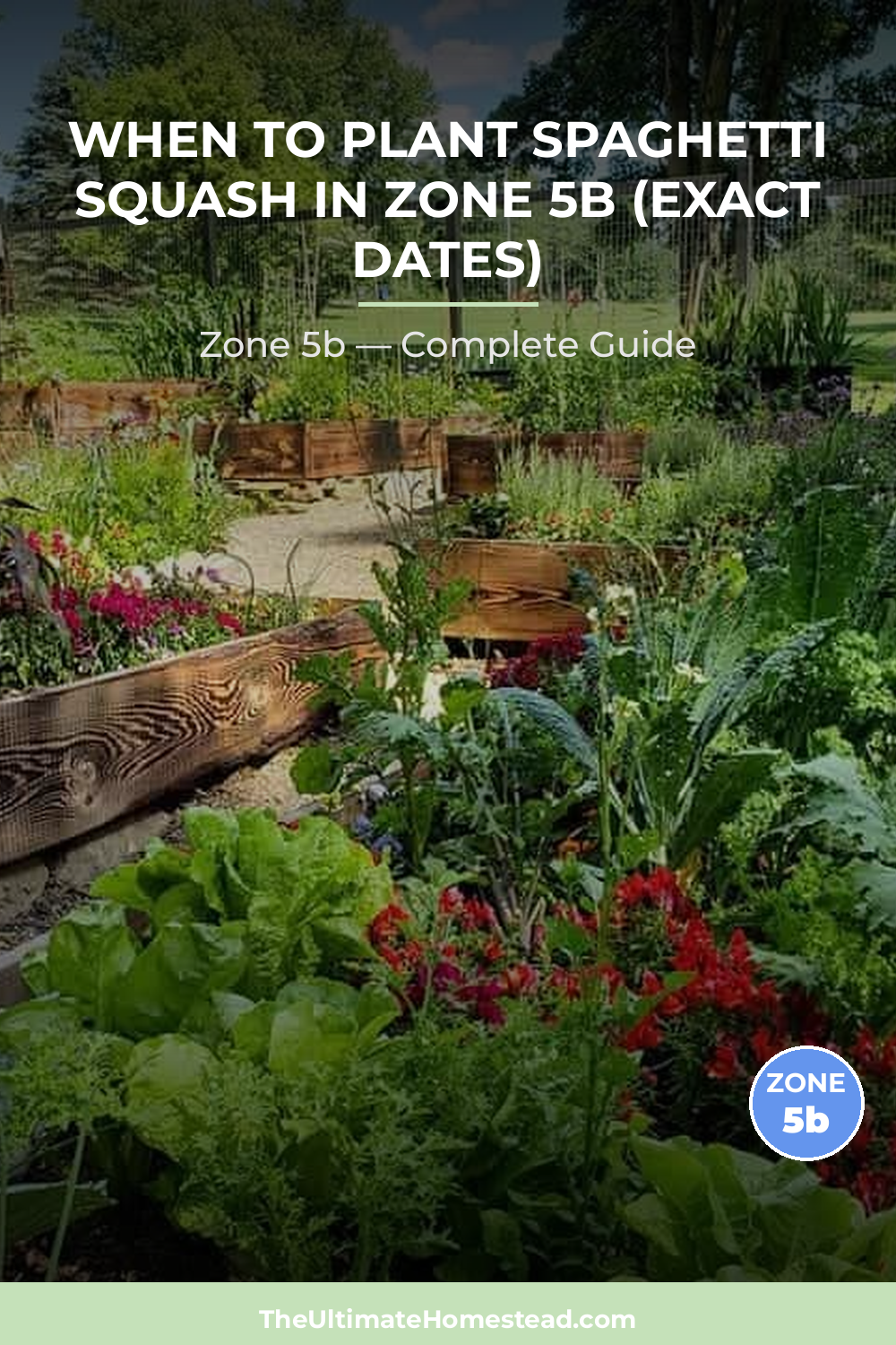 When to Plant Spaghetti Squash in Zone 5b