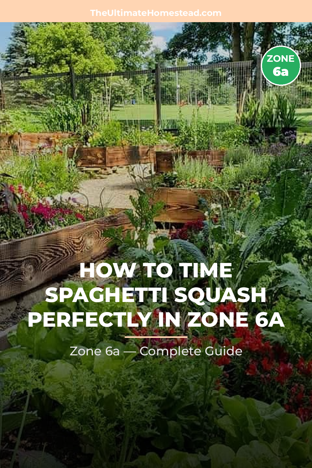 When to Plant Spaghetti Squash in Zone 6a