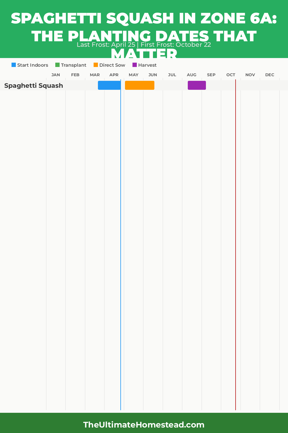 When to Plant Spaghetti Squash in Zone 6a