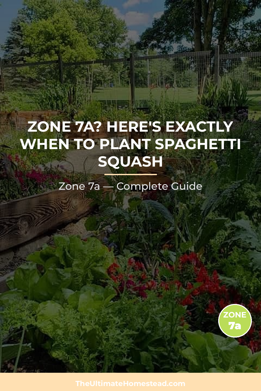 When to Plant Spaghetti Squash in Zone 7a