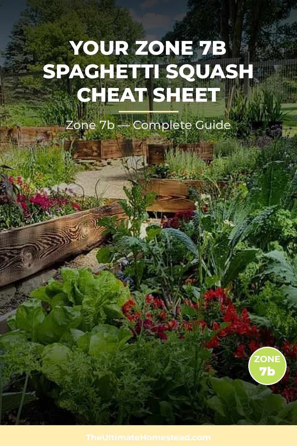 When to Plant Spaghetti Squash in Zone 7b