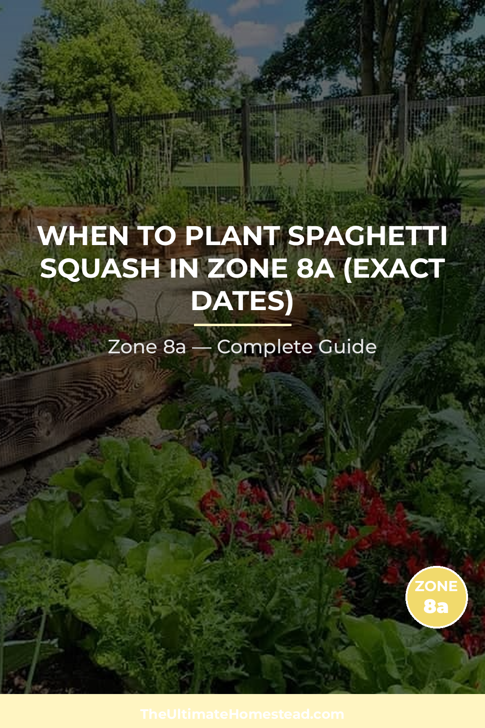 When to Plant Spaghetti Squash in Zone 8a