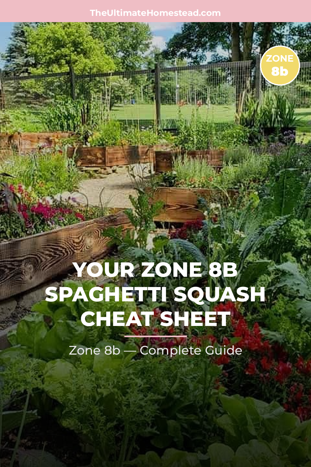 When to Plant Spaghetti Squash in Zone 8b