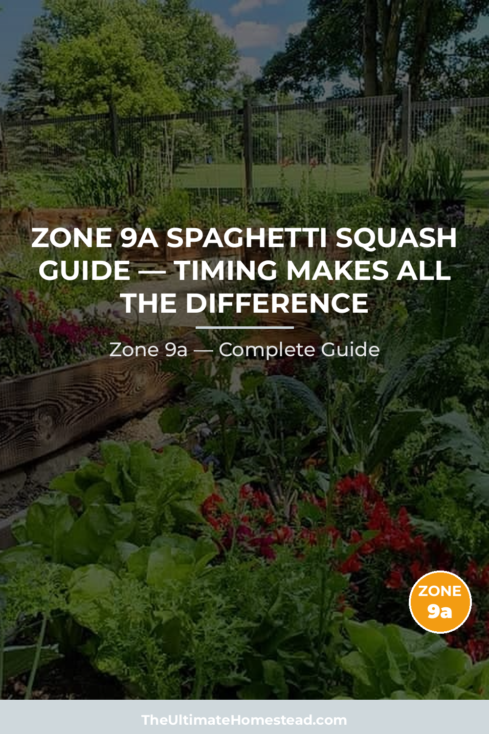 When to Plant Spaghetti Squash in Zone 9a