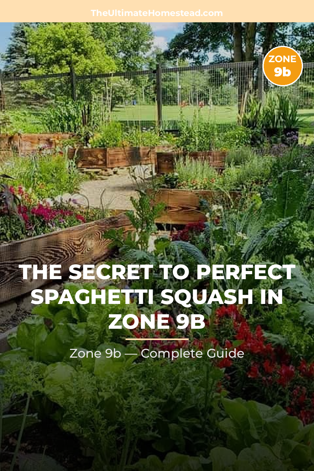 When to Plant Spaghetti Squash in Zone 9b