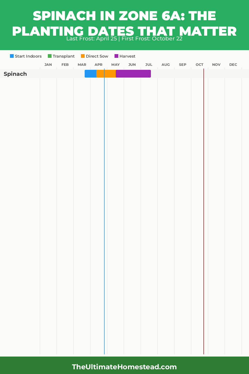 When to Plant Spinach in Zone 6a