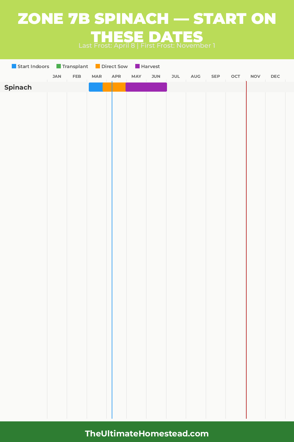 When to Plant Spinach in Zone 7b