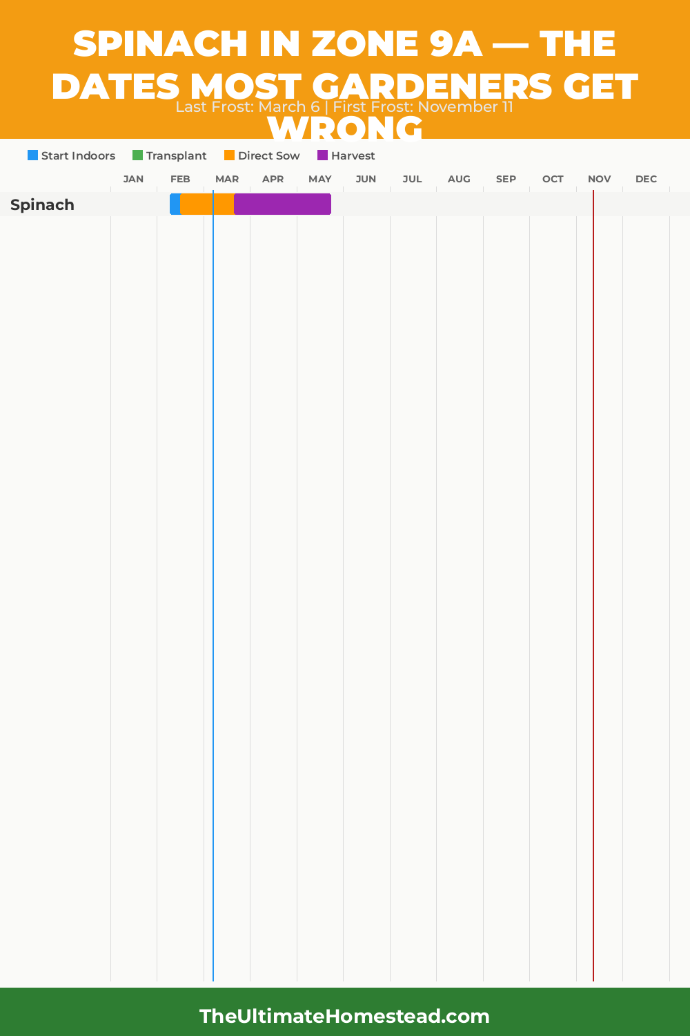 When to Plant Spinach in Zone 9a