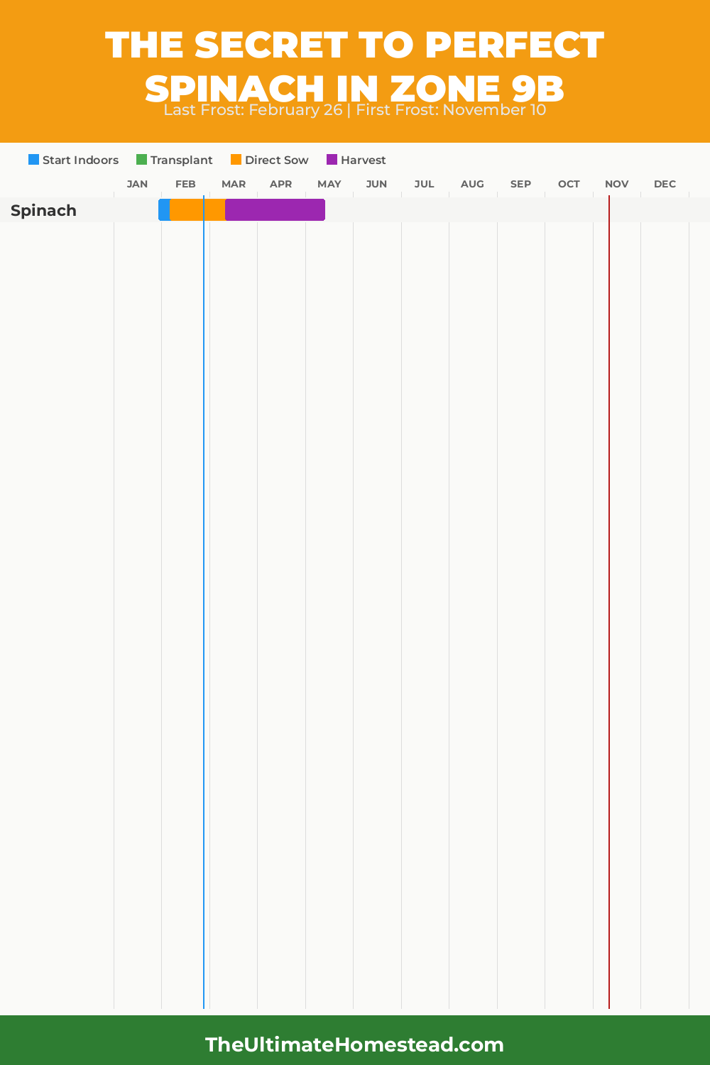 When to Plant Spinach in Zone 9b