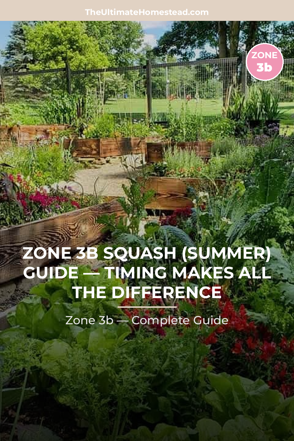 When to Plant Squash (Summer) in Zone 3b