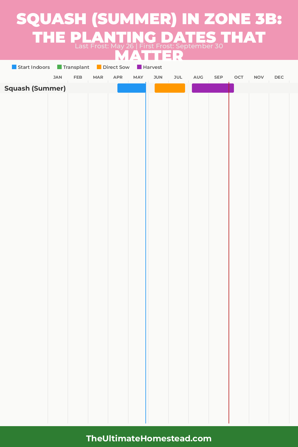 When to Plant Squash (Summer) in Zone 3b