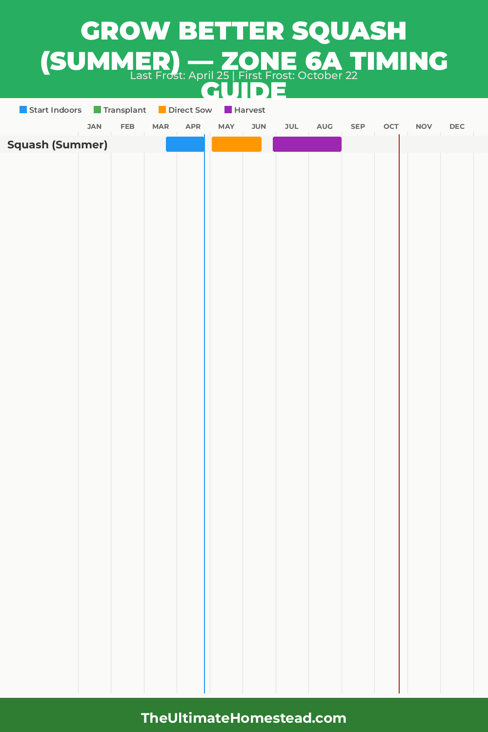 When to Plant Squash (Summer) in Zone 6a