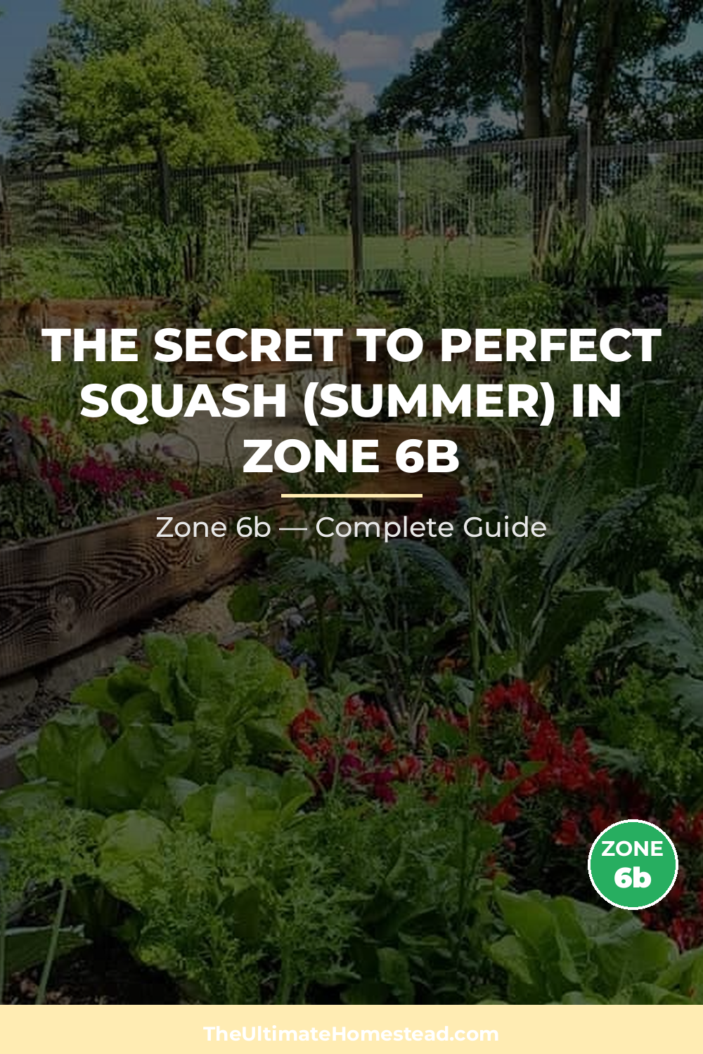 When to Plant Squash (Summer) in Zone 6b