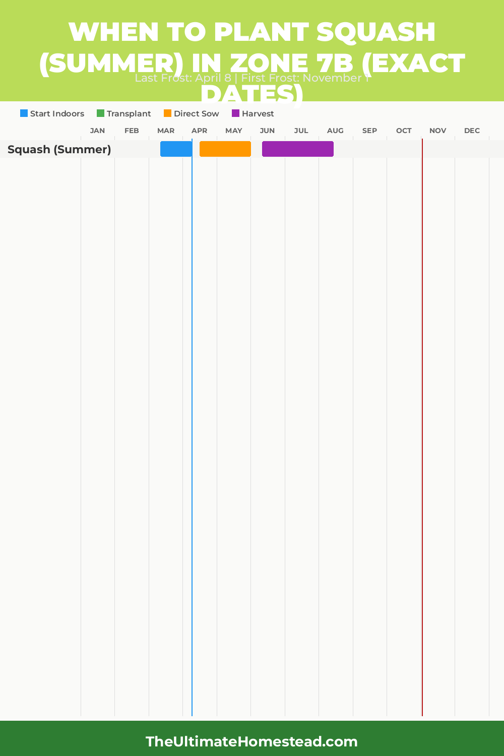 When to Plant Squash (Summer) in Zone 7b