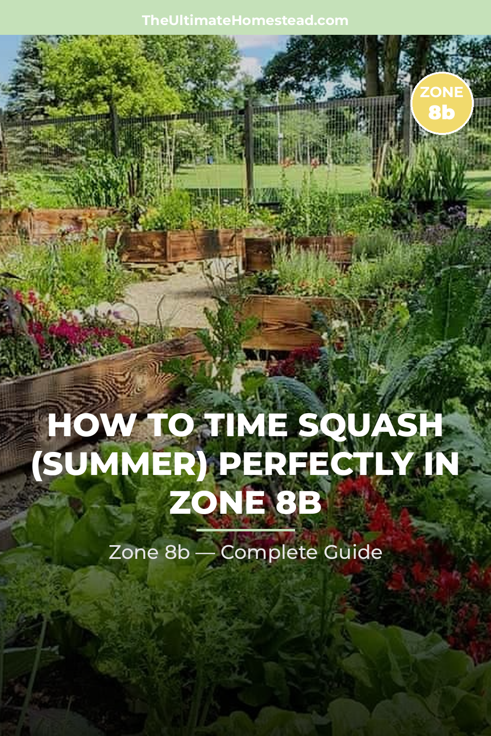 When to Plant Squash (Summer) in Zone 8b