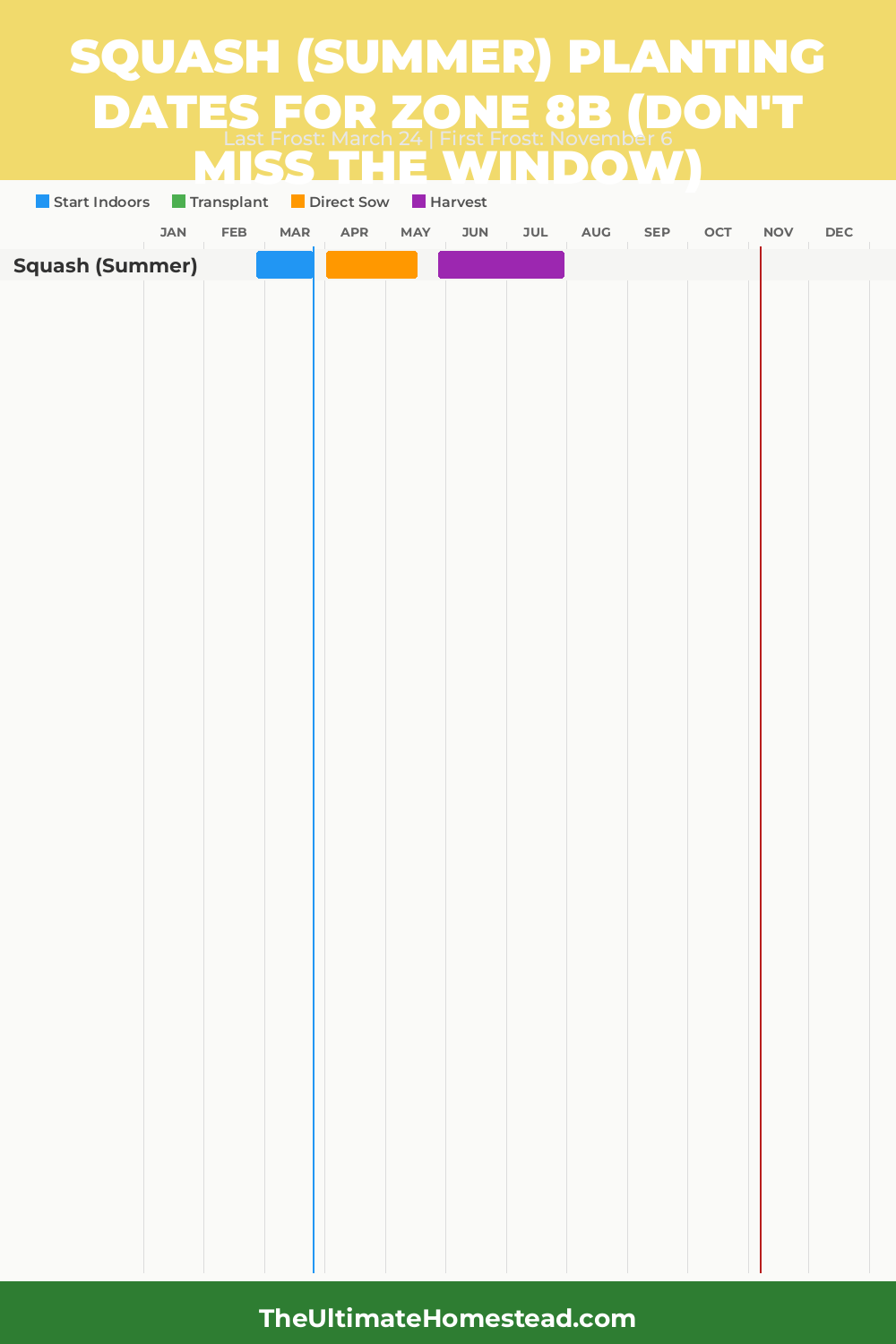 When to Plant Squash (Summer) in Zone 8b