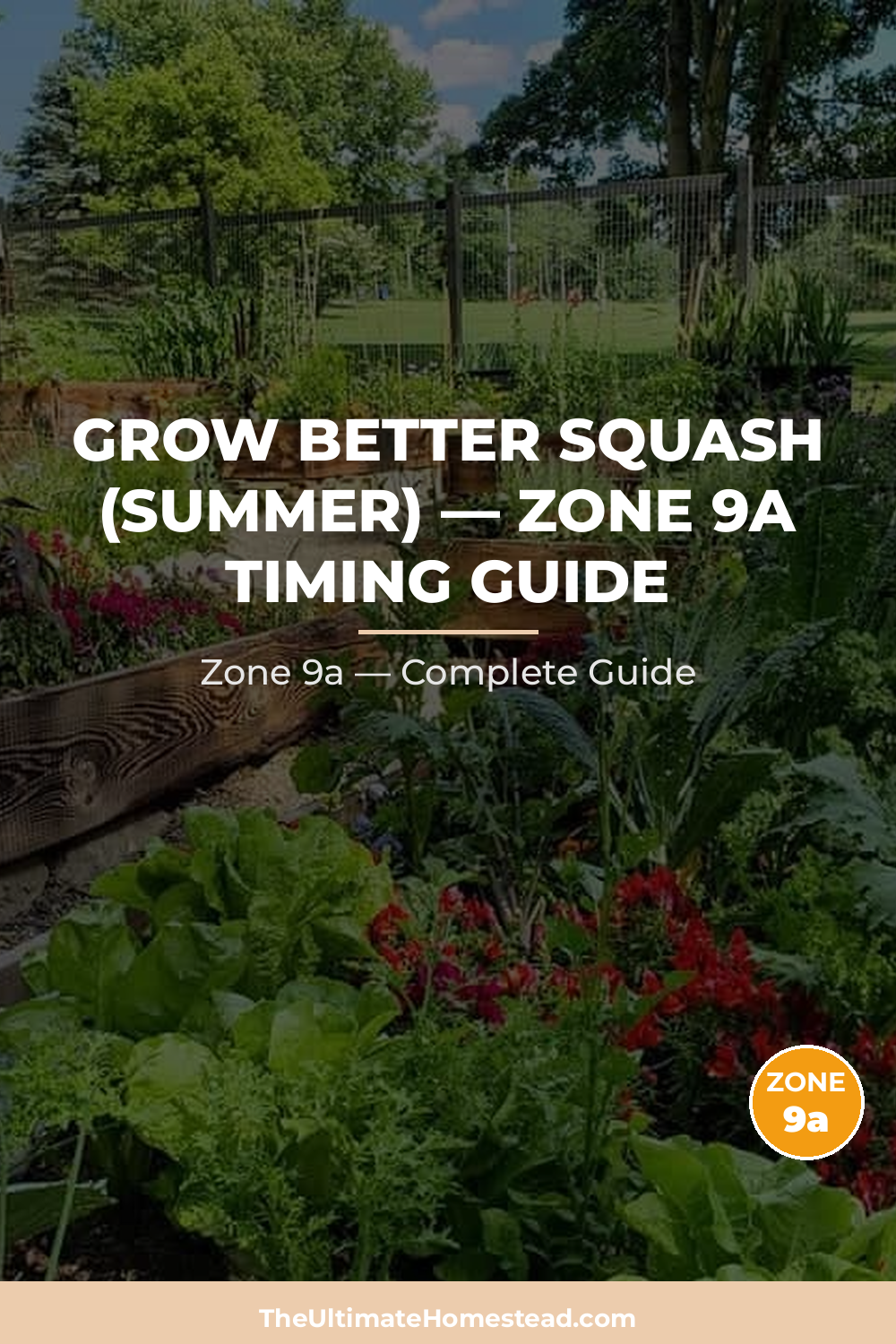 When to Plant Squash (Summer) in Zone 9a