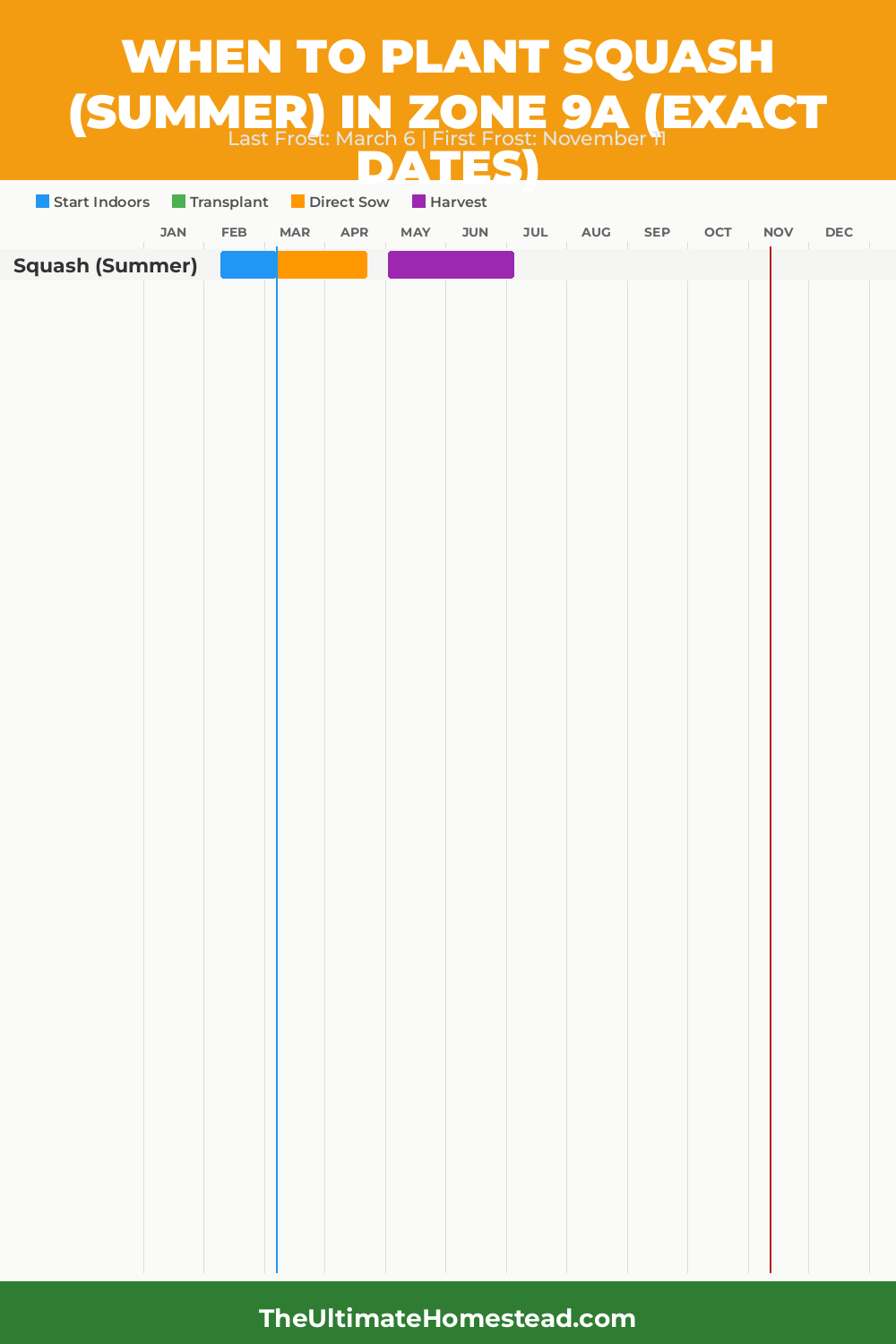 When to Plant Squash (Summer) in Zone 9a