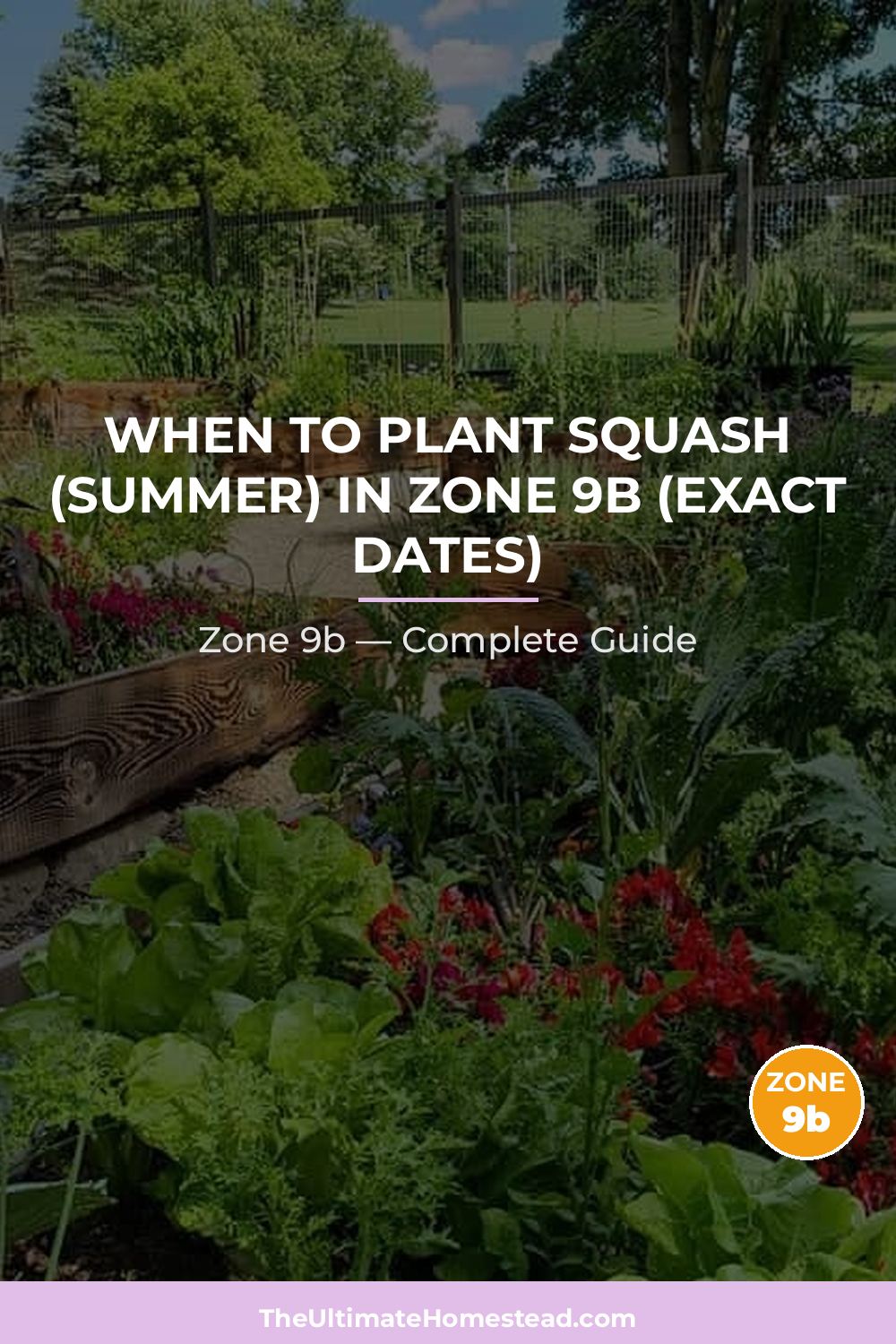 When to Plant Squash (Summer) in Zone 9b