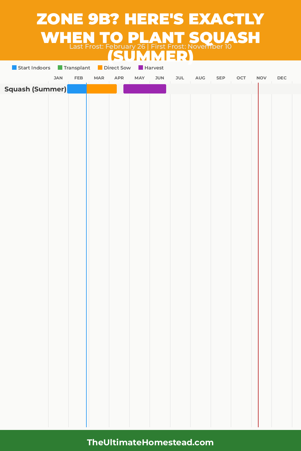 When to Plant Squash (Summer) in Zone 9b