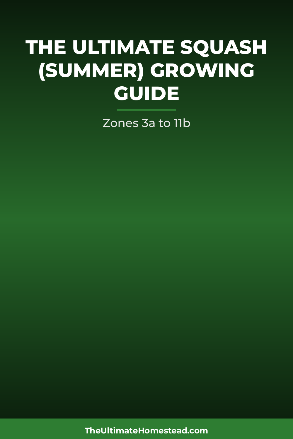 Squash (Summer) Planting Guide