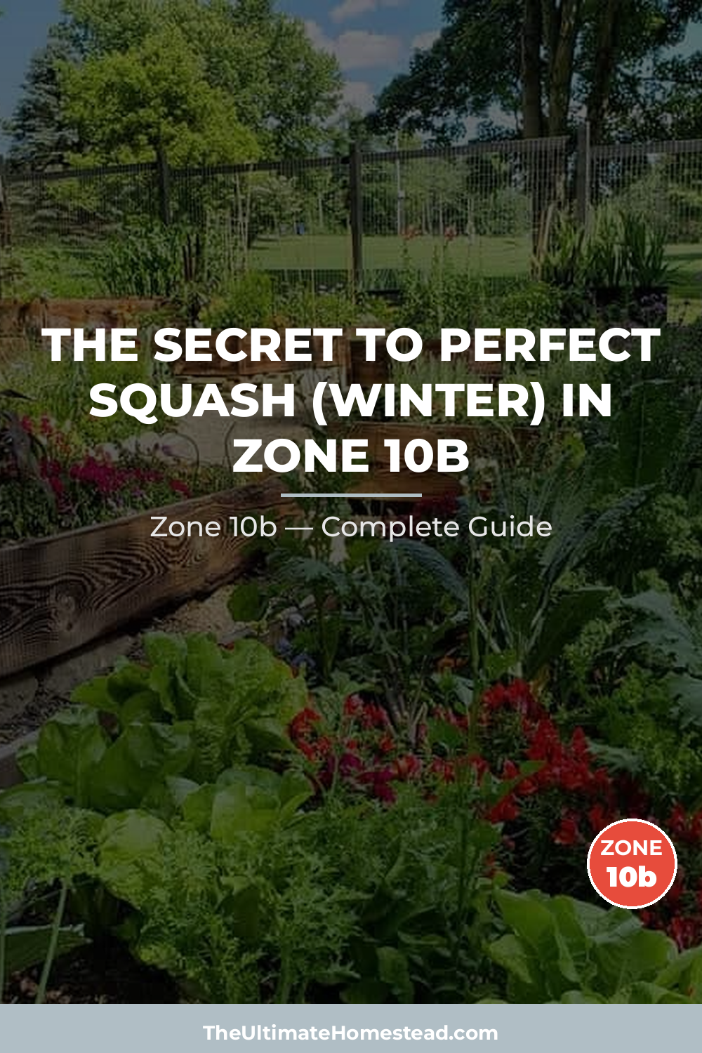 When to Plant Squash (Winter) in Zone 10b