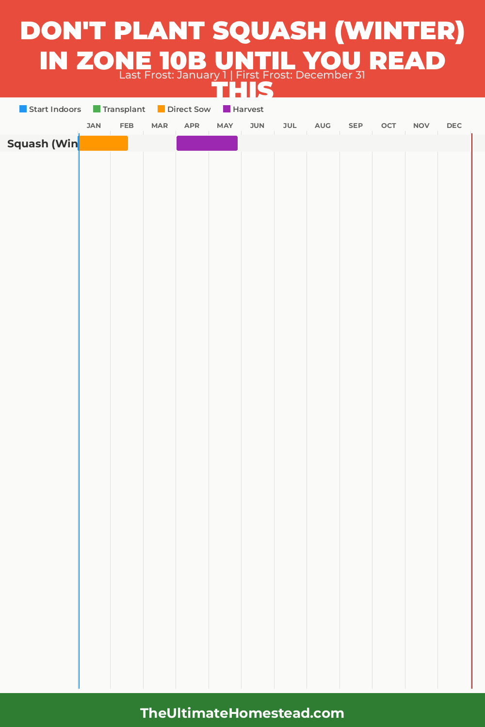 When to Plant Squash (Winter) in Zone 10b